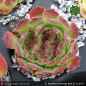 Preview: Sempervivum heuffelii 'Greenish Red'