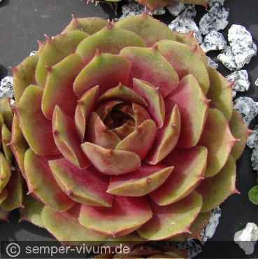 Preview: aufgenommen am 22.4.2016