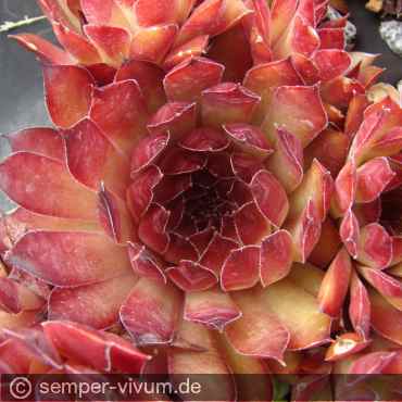 Preview: aufgenommen am 21.6.2012