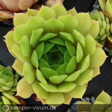 aufgenommen am 29.7.2019