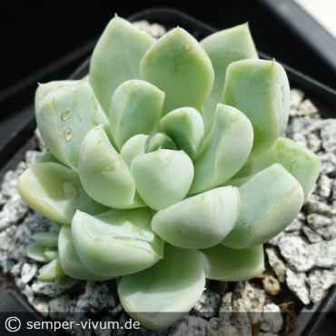 Preview: aufgenommen Mitte Juli 2022