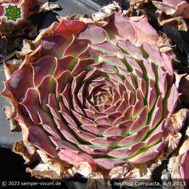 aufgenommen am 6.9.2013