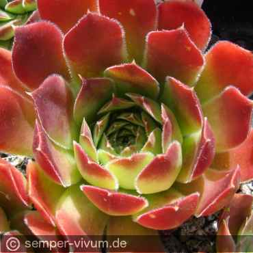 aufgenommen am 16.6.2014