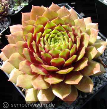 Preview: aufgenommen am 27.8.2012