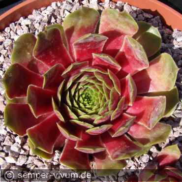 Preview: aufgenommen am 14.6.2017