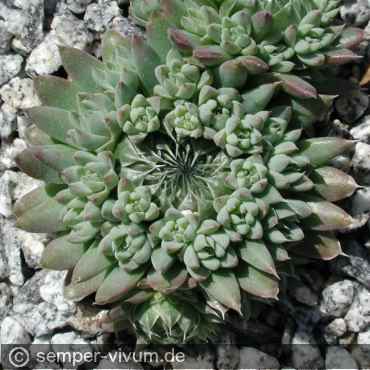 aufgenommen am 28.5.2005