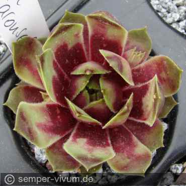 aufgenommen am 2.5.2018