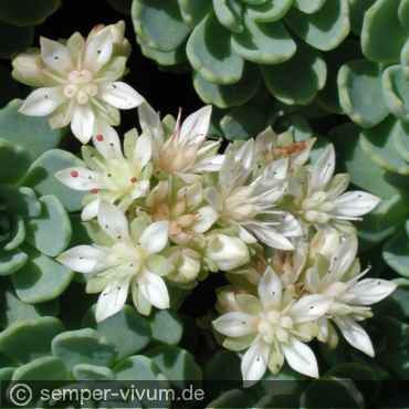 aufgenommen am 25.5.2005
