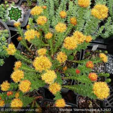 Preview: aufgenommen am 10. Mai 2021