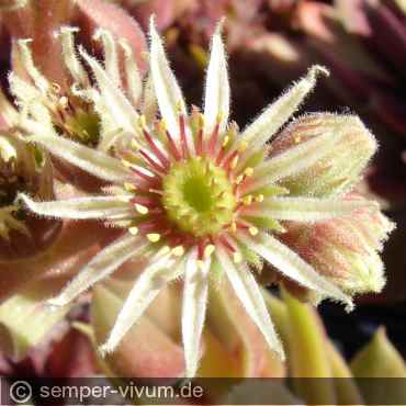 Preview: aufgenommen am 20.6.2018