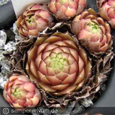 aufgenommen am 24.10.2016