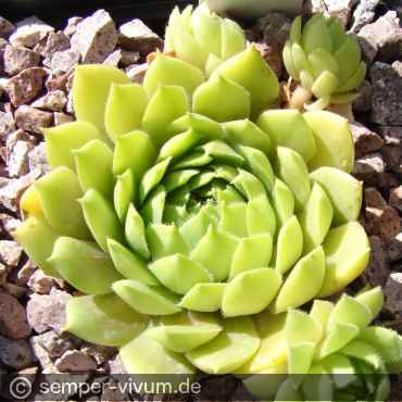 aufgenommen am 26.6.2020