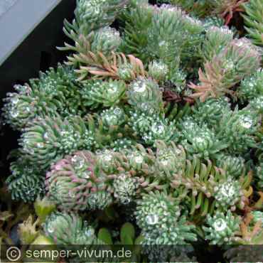 Preview: aufgenommen am 23. Oktober 2009