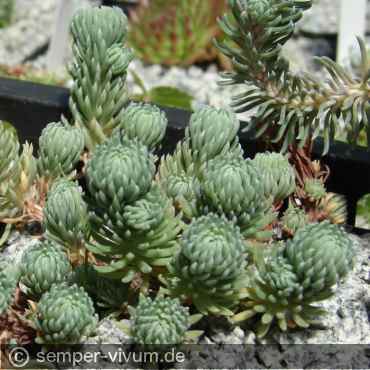 aufgenommen am 7. August 2008