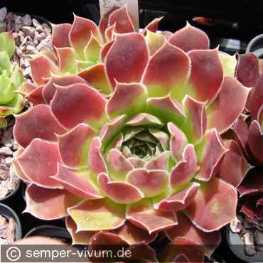 aufgenommen am 10.6.2019