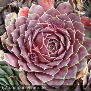 Preview: aufgenommen am 4.10.2017