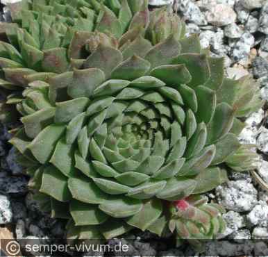 aufgenommen am 29.5.2004