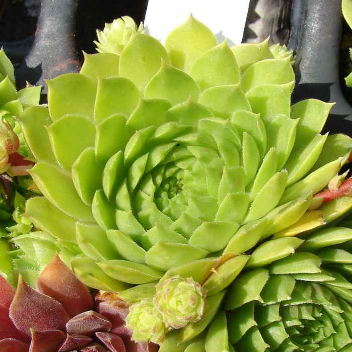 aufgenommen am 22.6.2012