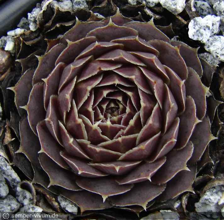 aufgenommen am 12.11.2016