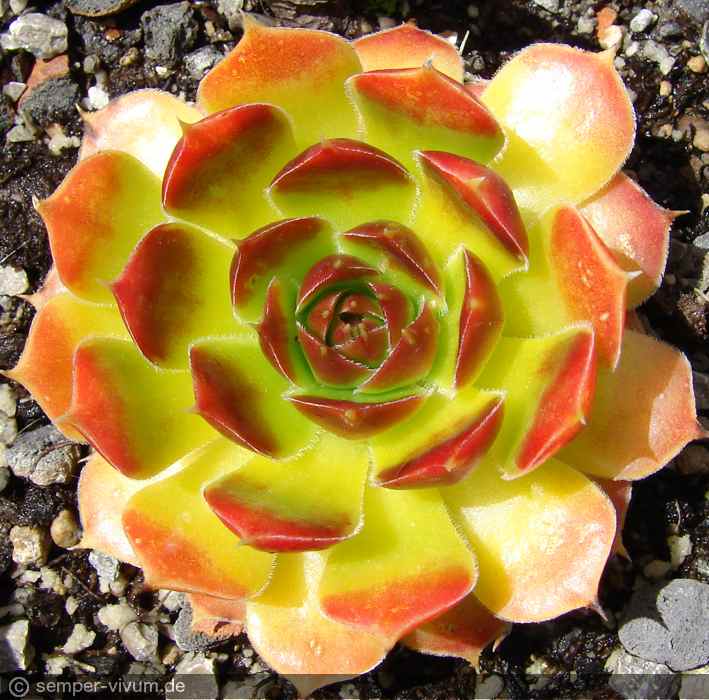 aufgenommen am 21.4.2012