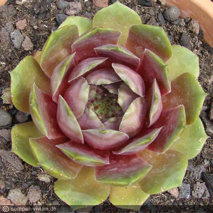 aufgenommen am 9.6.2018