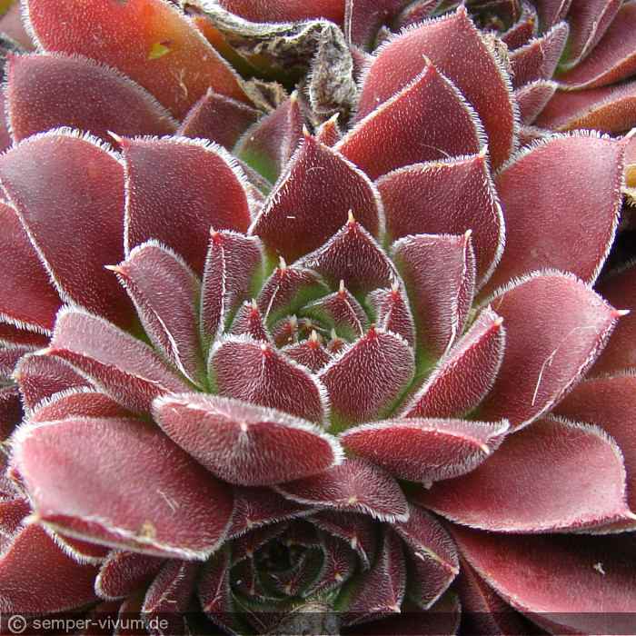 aufgenommen am 9.9.2011