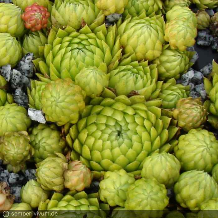 aufgenommen am 18.8.2016