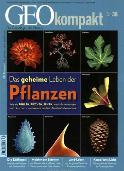 GEO kompakt Nr. 38