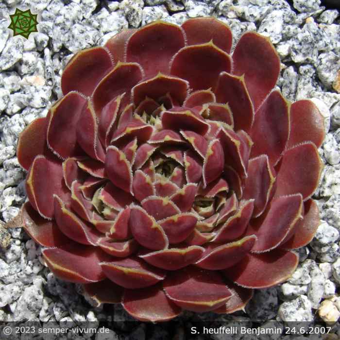 aufgenommen am 24.6.2007