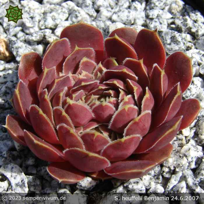 aufgenommen am 24.6.2007