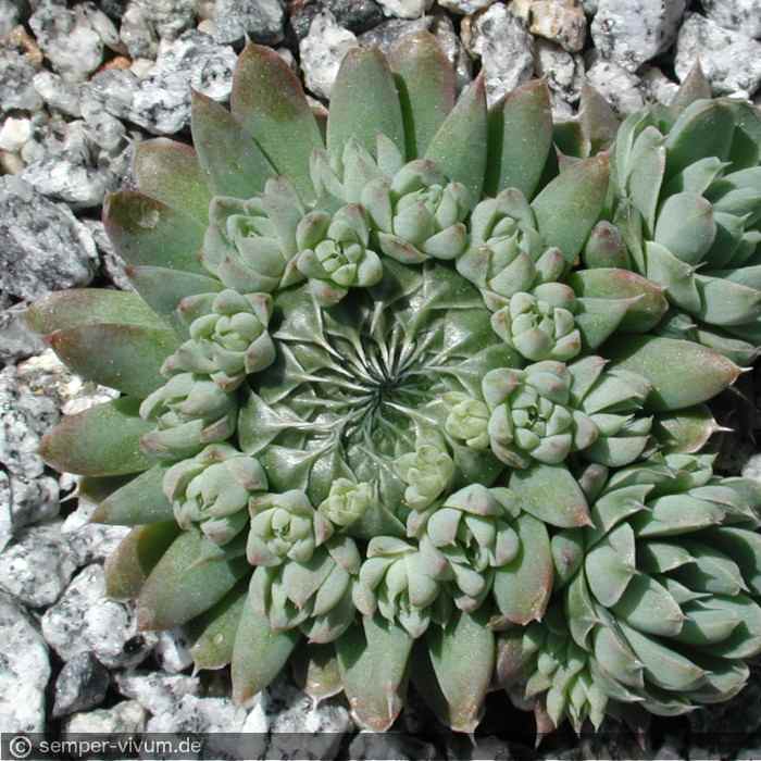 aufgenommen am 28.5.2005