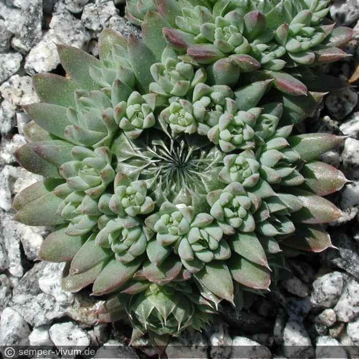 aufgenommen am 28.5.2005