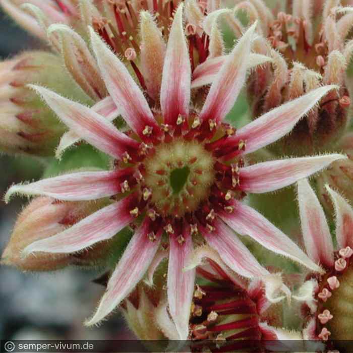 aufgenommen am 10.7.2004