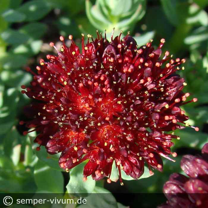 aufgenommen am 10. Mai 2021