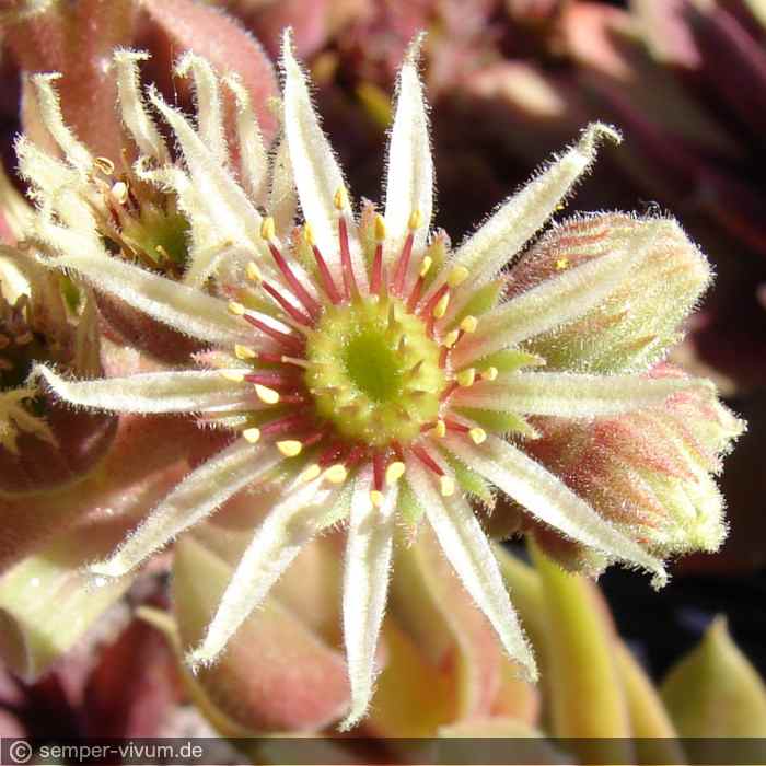 aufgenommen am 20.6.2018