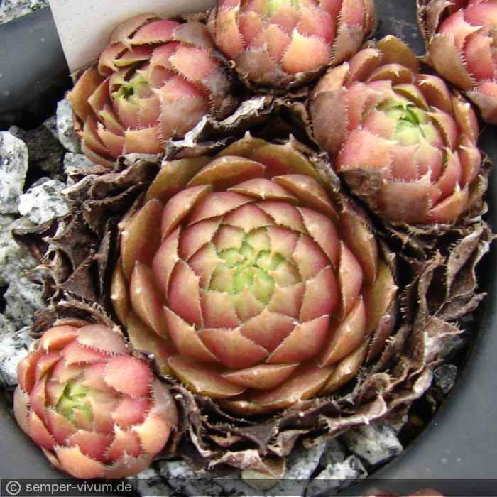 aufgenommen am 24.10.2016