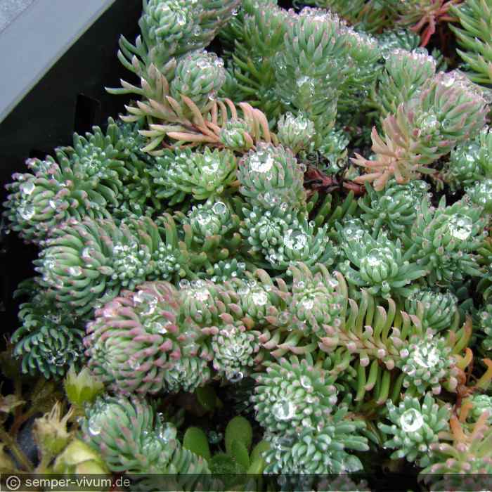 aufgenommen am 23. Oktober 2009