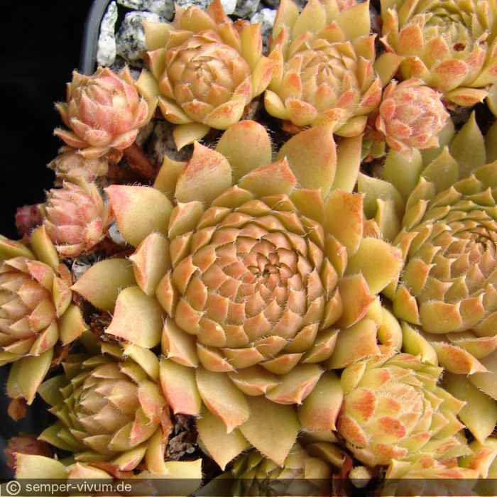 aufgenommen am 24.6.2012