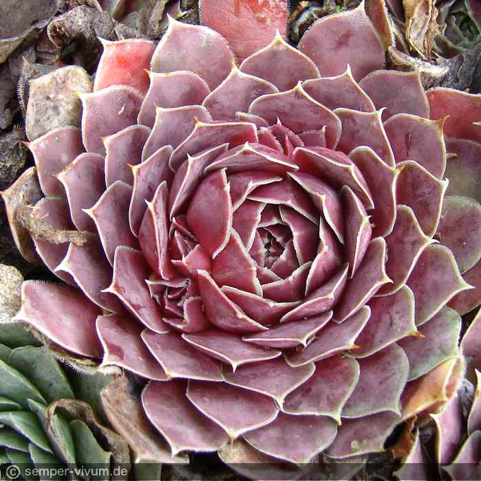 aufgenommen am 4.10.2017