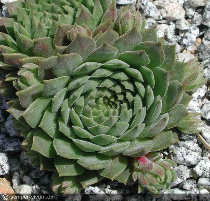 aufgenommen am 29.5.2004