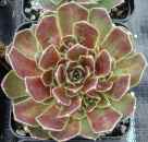 aufgenommen am 2.6.2010